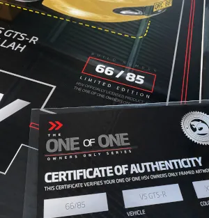 HSV VZ SV6000 Build Number