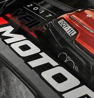HOLDEN VL CALAIS artwork with Custom Plates