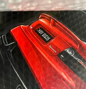 Final Finished Framed Drawing