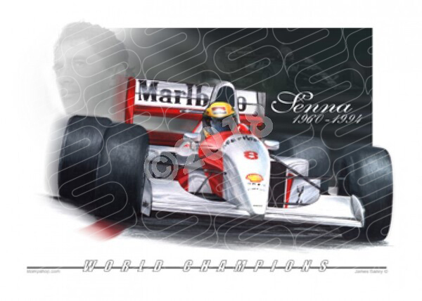 Ayrton Senna F1 World Champion Framed Canvas Signed Print "Great Gift" 