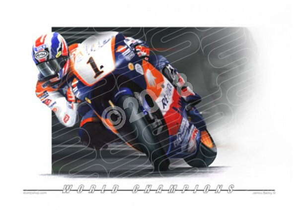 World Champions MICK DOOHAN 500CC MOTO GP CHAMPION A1 STRETCHED CANVAS (W03)