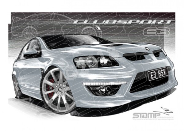 HSV E3 CLUBSPORT NITRATE SV SILVER A1 STRETCHED CANVAS (V290S)